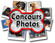 Aller vers les concours photos