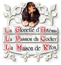 http://images.gloriette-artemis.net/newsimg/gloriettelogo031105.jpg