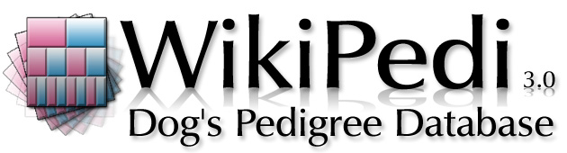 Wikipedi 4.0